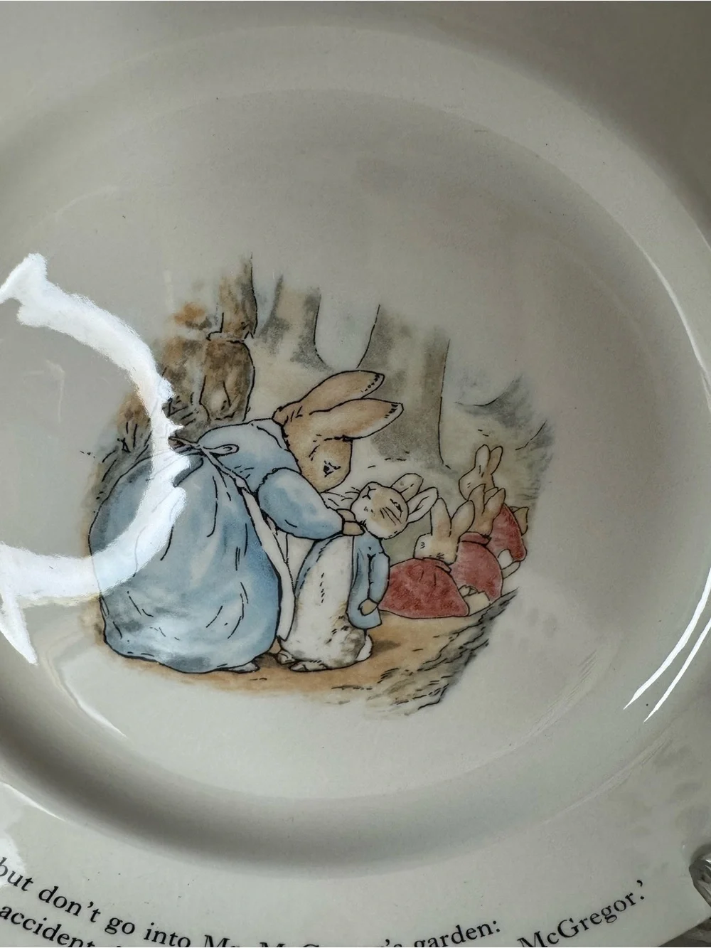 Plate with Peter Rabbit Design